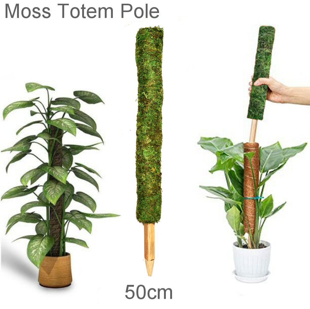 Moss Totem Pole 50CM